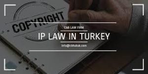 law-in-turkey