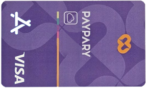 ویزا کارت 11 کارت مجازی اپل